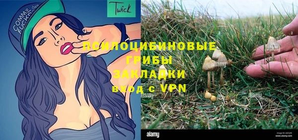 стафф Новокубанск