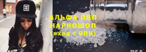 стафф Новокубанск