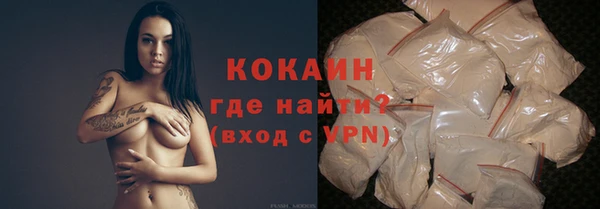 2c-b Новозыбков