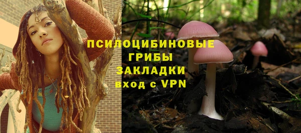 стафф Новокубанск