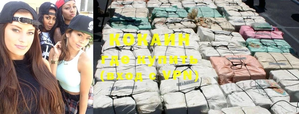 2c-b Новозыбков