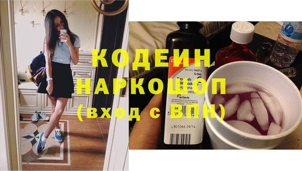 молекула духа Новодвинск