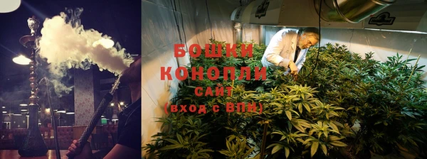 молекула духа Новодвинск