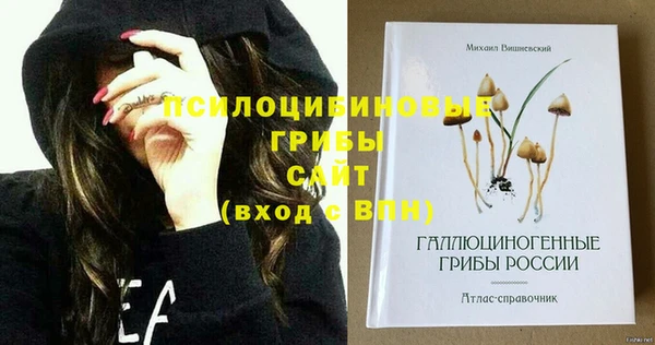 2c-b Новозыбков