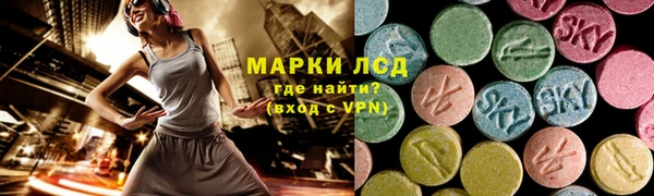 стафф Новокубанск